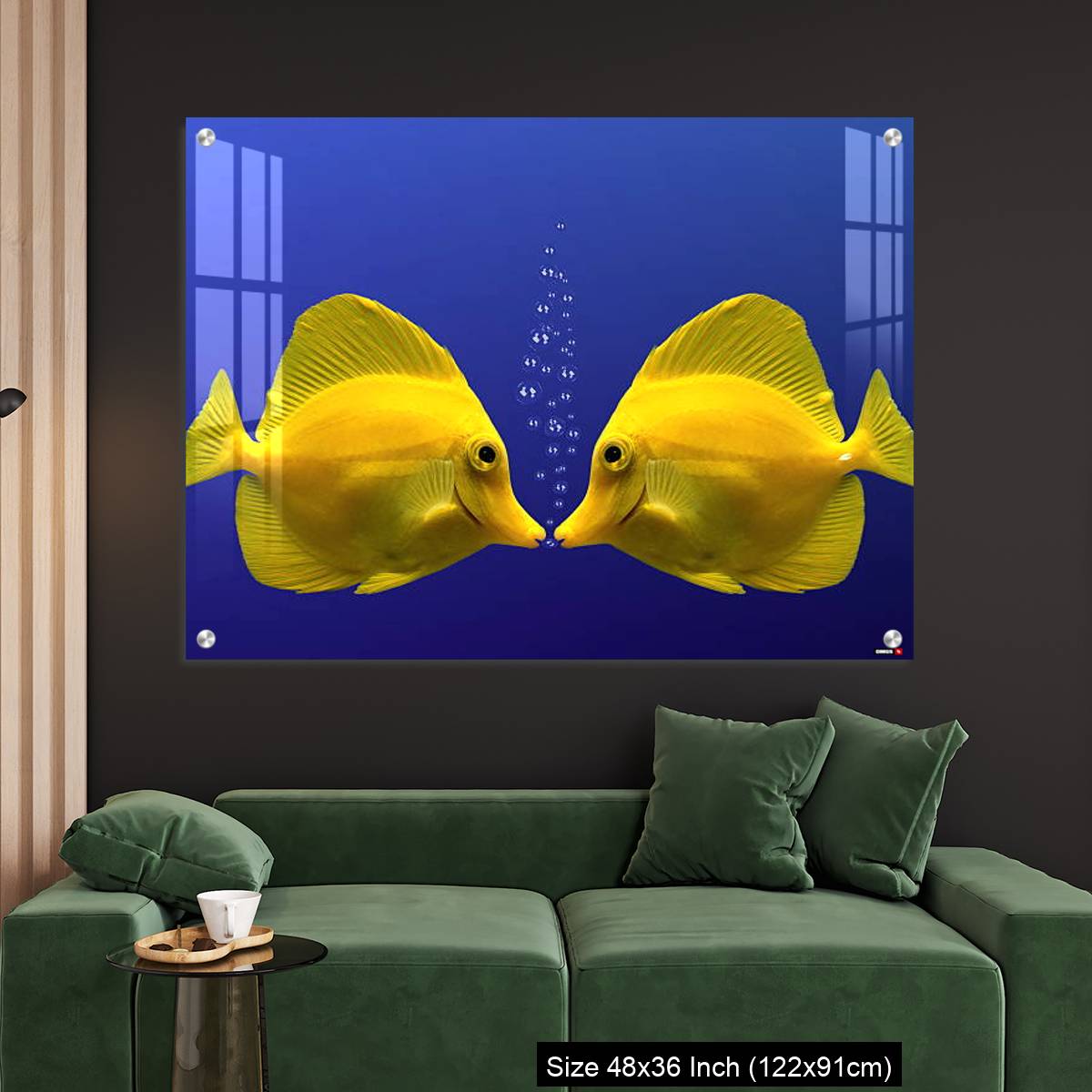 OMGs Acrylic Wall Decor – Two yellow tangs, face to face - Image 4