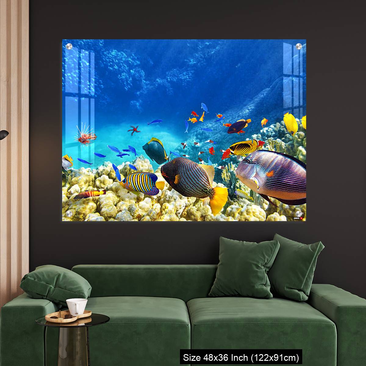 OMGs Acrylic Wall Decor – Underwater world with corals and tropical fish. - Image 4