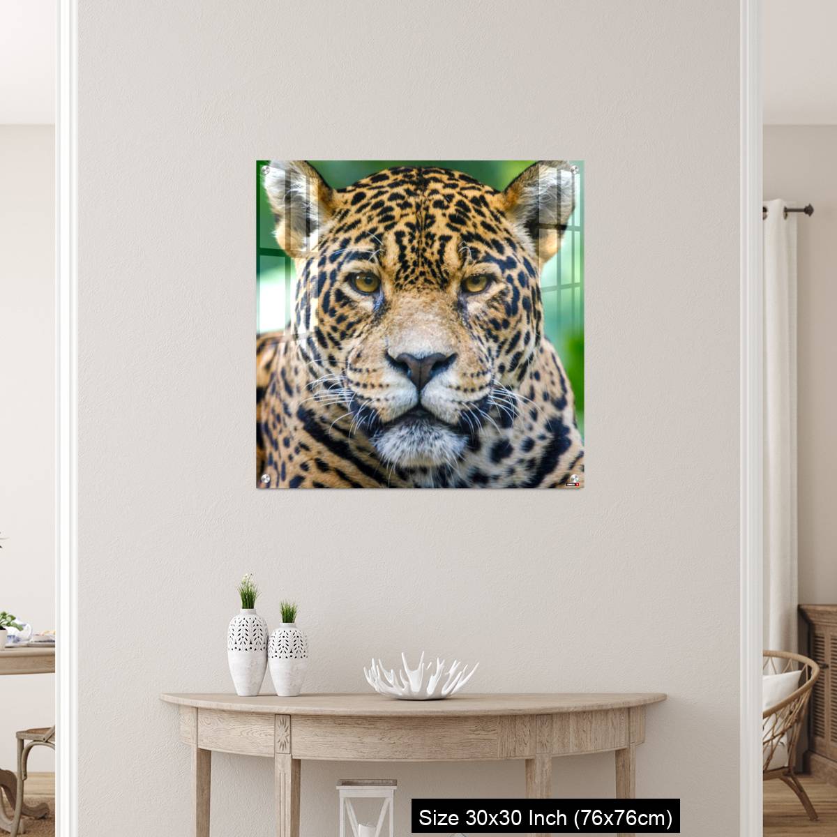OMGs Acrylic Wall Decor – Jaguar looking at camera - Pantanal wetlands, Brazil - Image 5