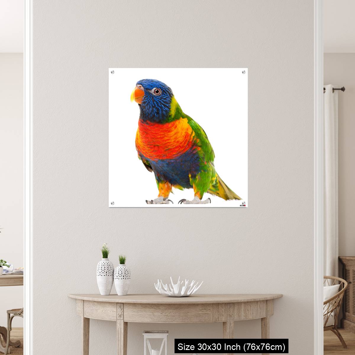 OMGs Acrylic Wall Decor – Rainbow Lorikeet, Trichoglossus haematodus - Image 5