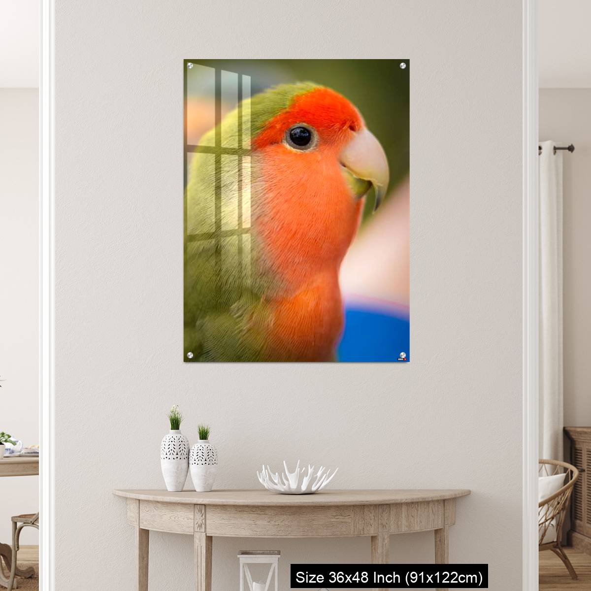 OMGs Acrylic Wall Decor – Vibrant rosy-faced lovebird - Image 5
