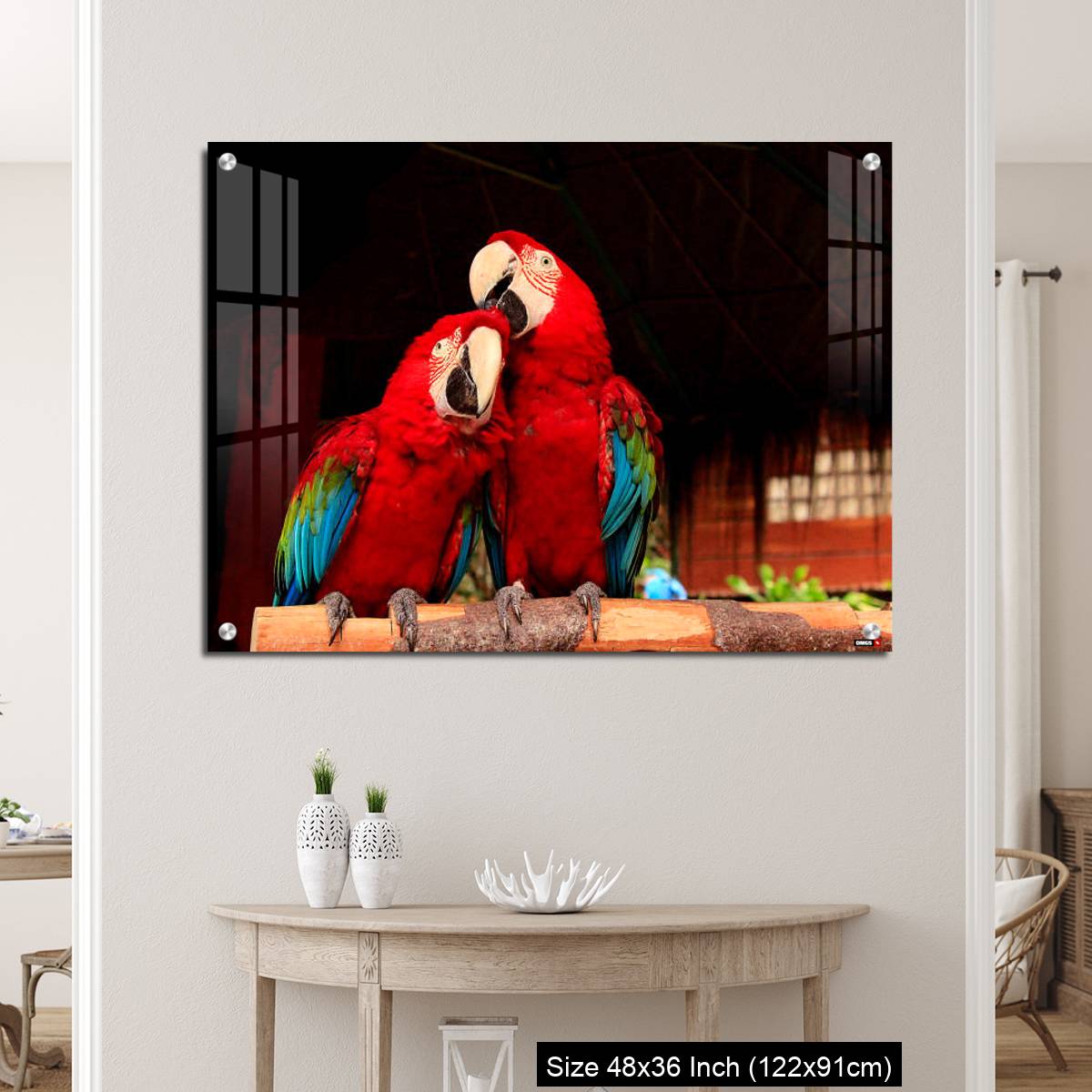 OMGs Acrylic Wall Decor – A  Macaw Bird Teasing His Friend’s Head - Image 5