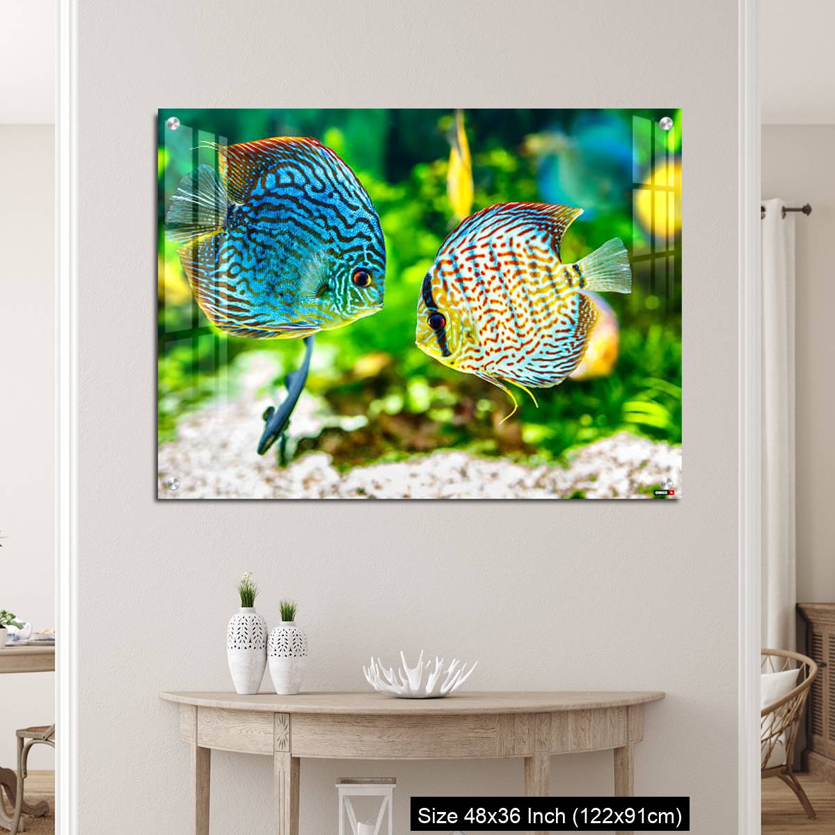 OMGs Acrylic Wall Decor – Aquarium displaying two tropical fish symphsodon discus - Image 5