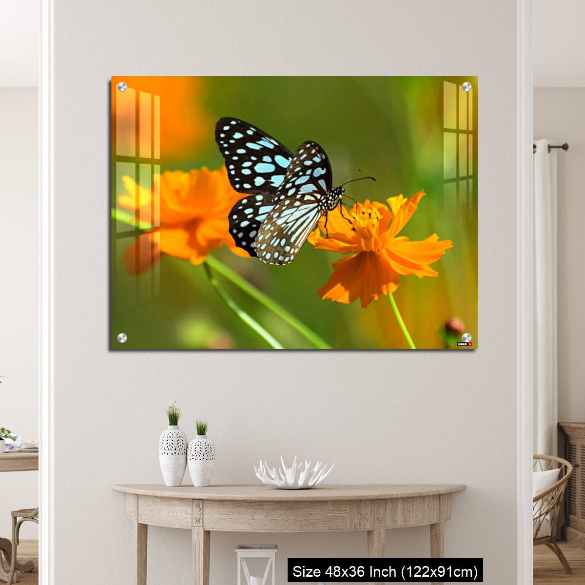 OMGs Acrylic Wall Decor – Blue tiger butterfly or Tirumala limniace on an orange flower - Image 5