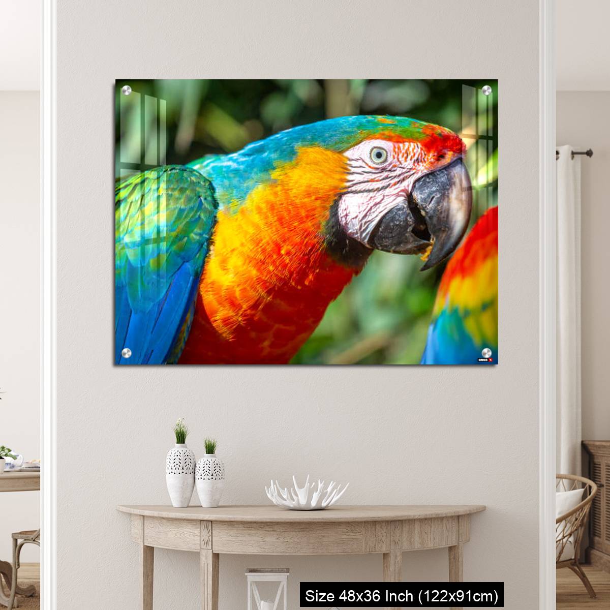OMGs Acrylic Wall Decor – Colorful Macaw parrot looking at camera in Brazil - Image 5