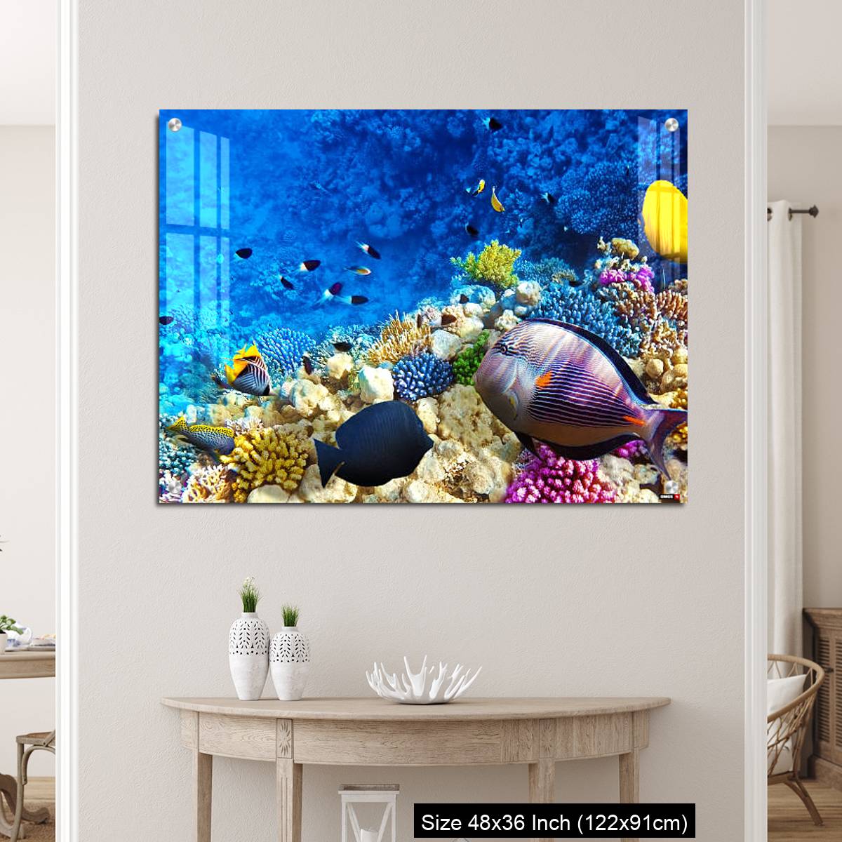 OMGs Acrylic Wall Decor – Coral and fish in the Red Sea. Egypt, Africa. - Image 5