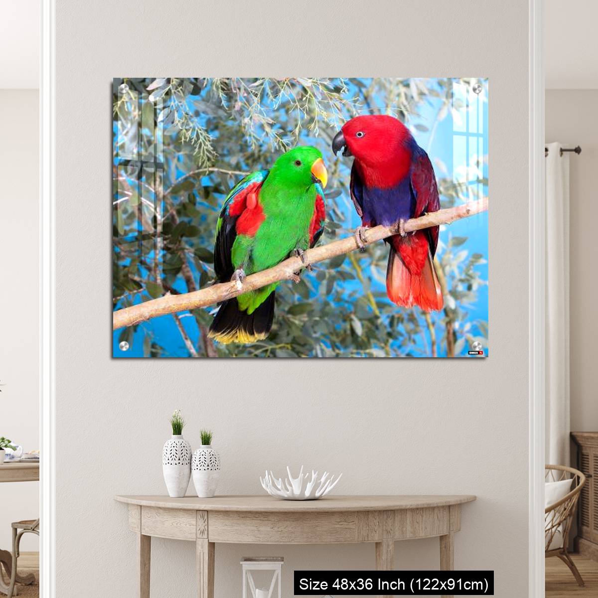 OMGs Acrylic Wall Decor – Eclectus Parrot, eclectus roratus, Pair standing on Branch, Male (green) and Female (Red) - Image 5