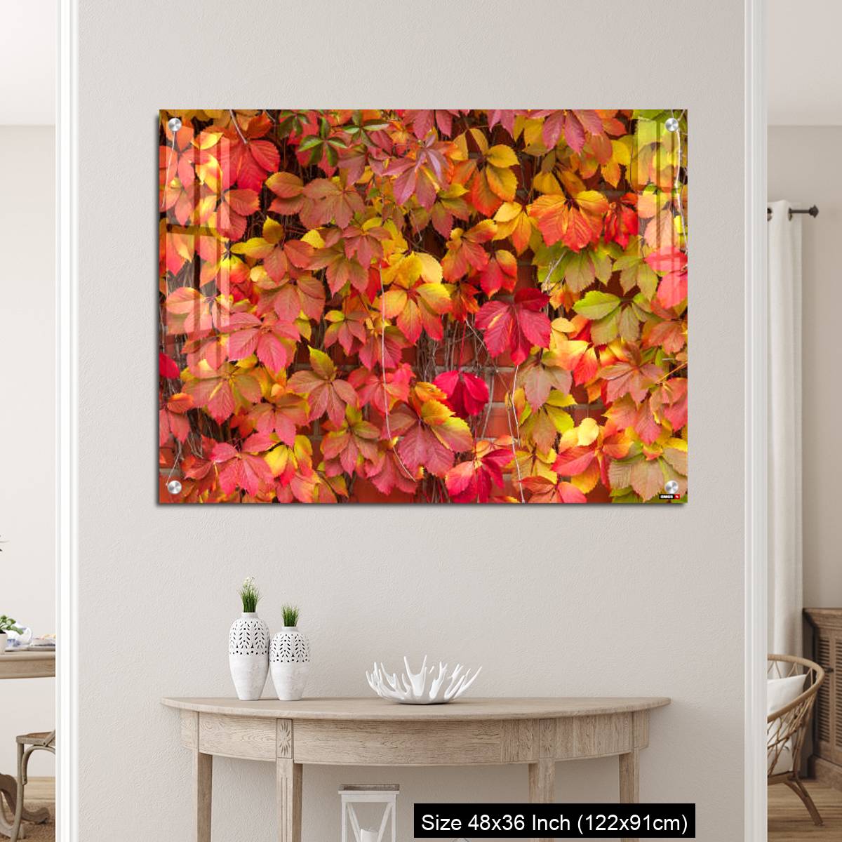 OMGs Acrylic Wall Decor – False Virginia creeper Parthenocissus inserta foliage in autumn colors - Image 5