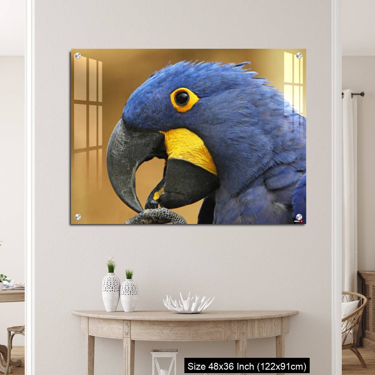 OMGs Acrylic Wall Decor – Hyacinth Macaw, anodorhynchus hyacinthinus, portrait of Adult with open Beak - Image 5