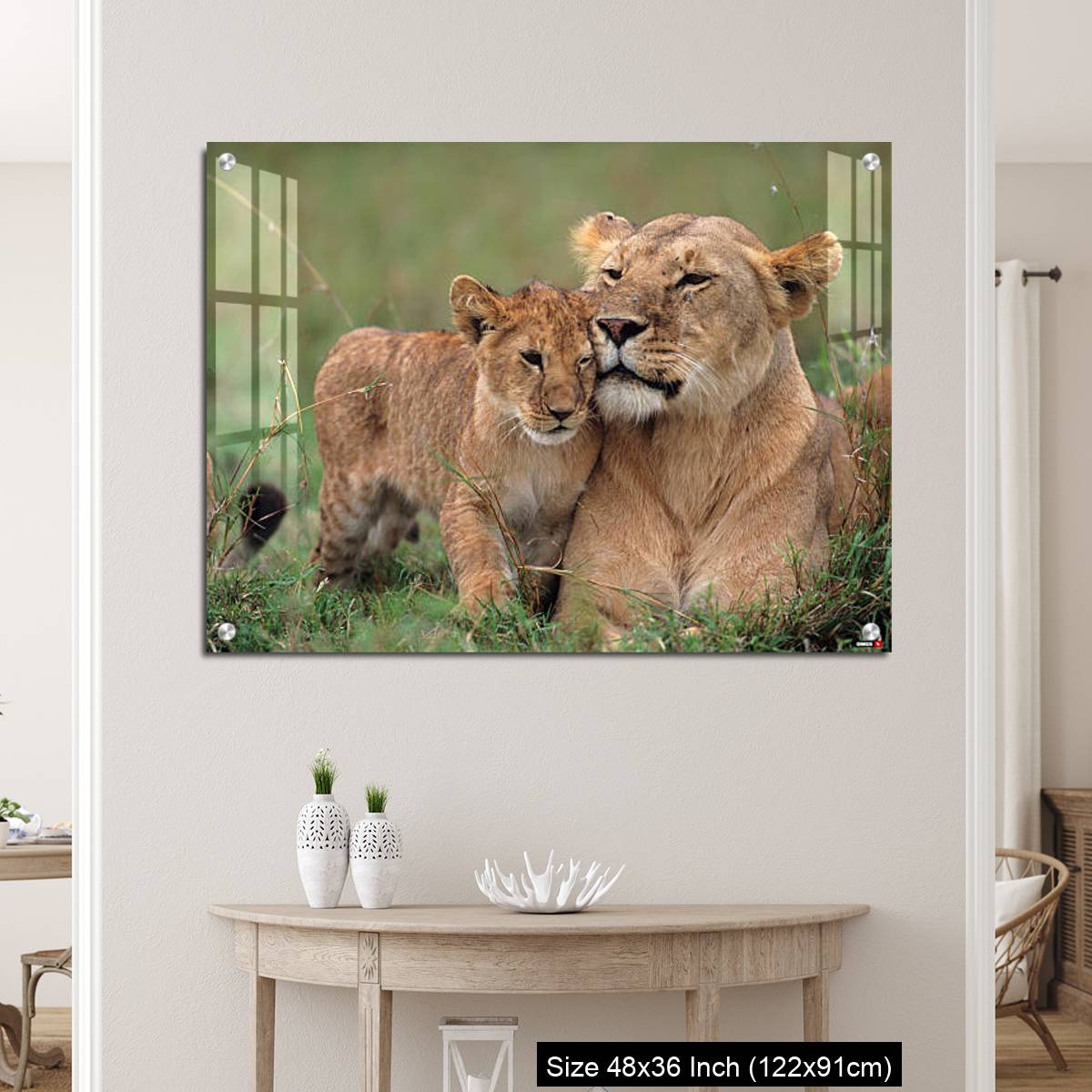 OMGs Acrylic Wall Decor – Lioness (Panthera leo) with cubs lying on grass, Kenya - Image 5
