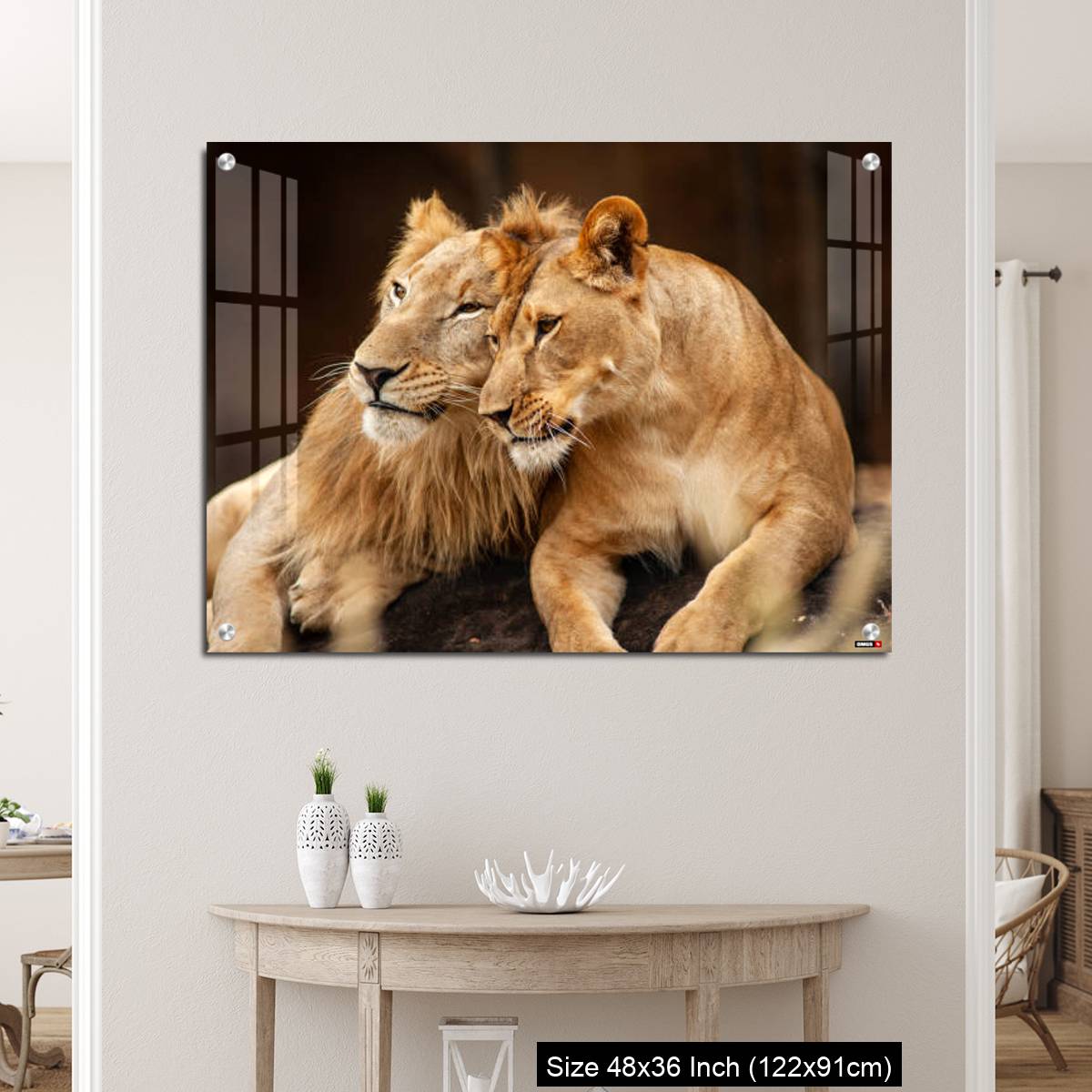 OMGs Acrylic Wall Decor – Male and Female Lions  lying down together on the ground - Image 5