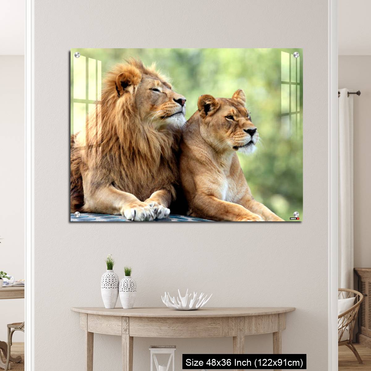 OMGs Acrylic Wall Decor – Pair of adult Lions in zoological garden - Image 5
