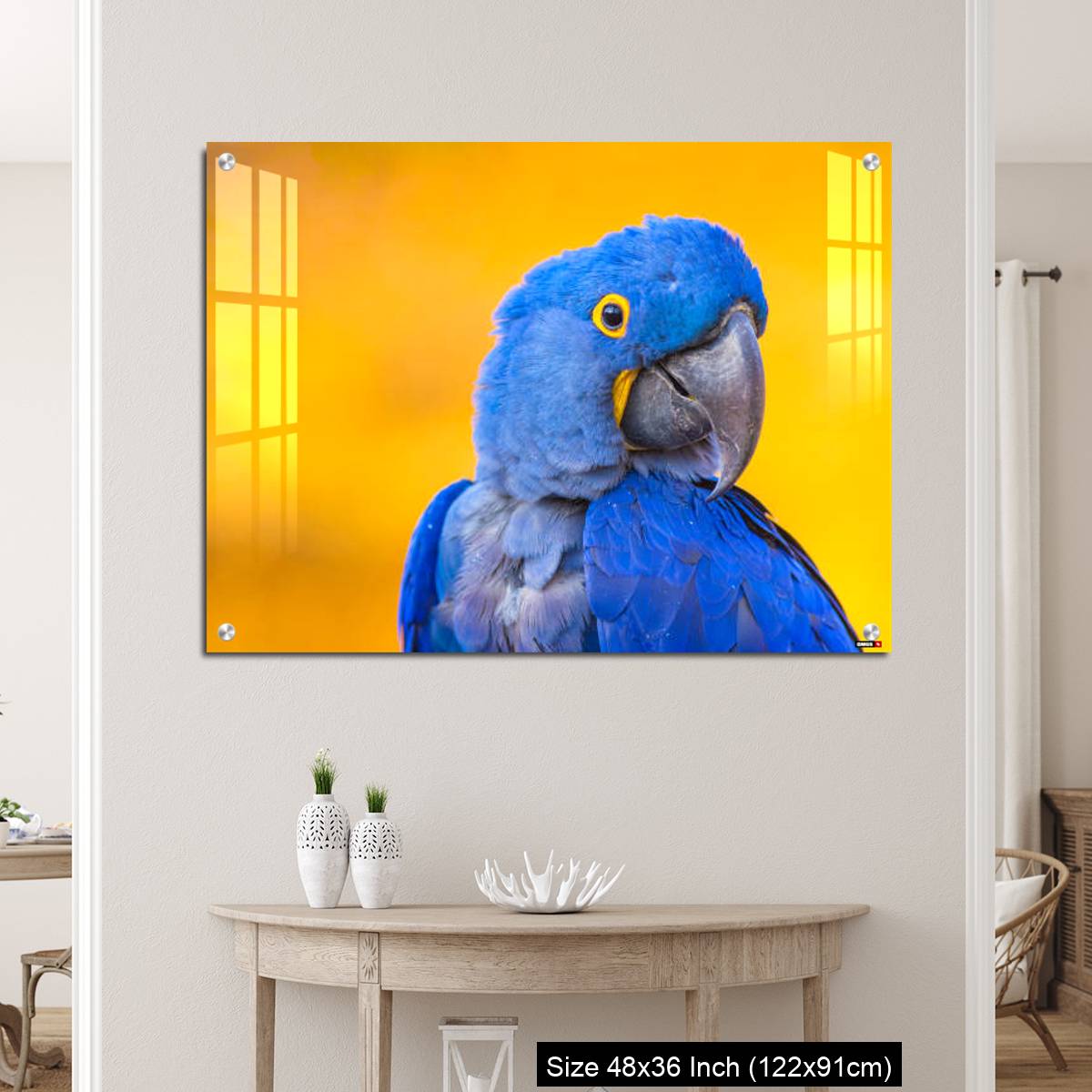 OMGs Acrylic Wall Decor – Portrait of big blue parrot Hyacinth Macaw - Image 5