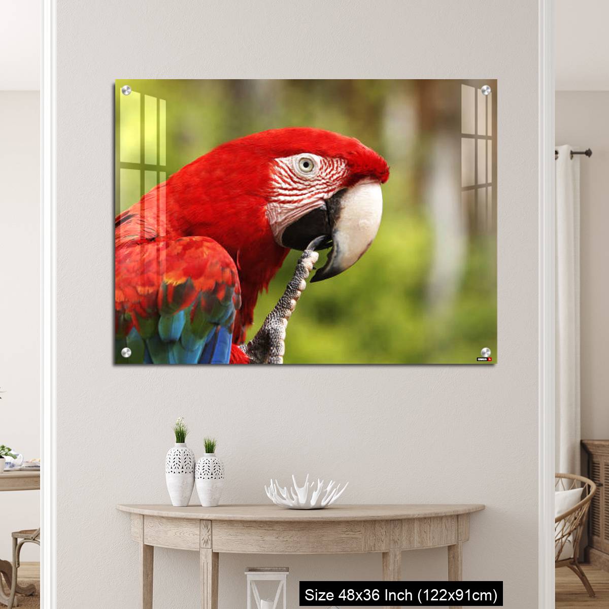 OMGs Acrylic Wall Decor – Red-and-Green Macaw, ara chloroptera, Portrait of Adult - Image 5