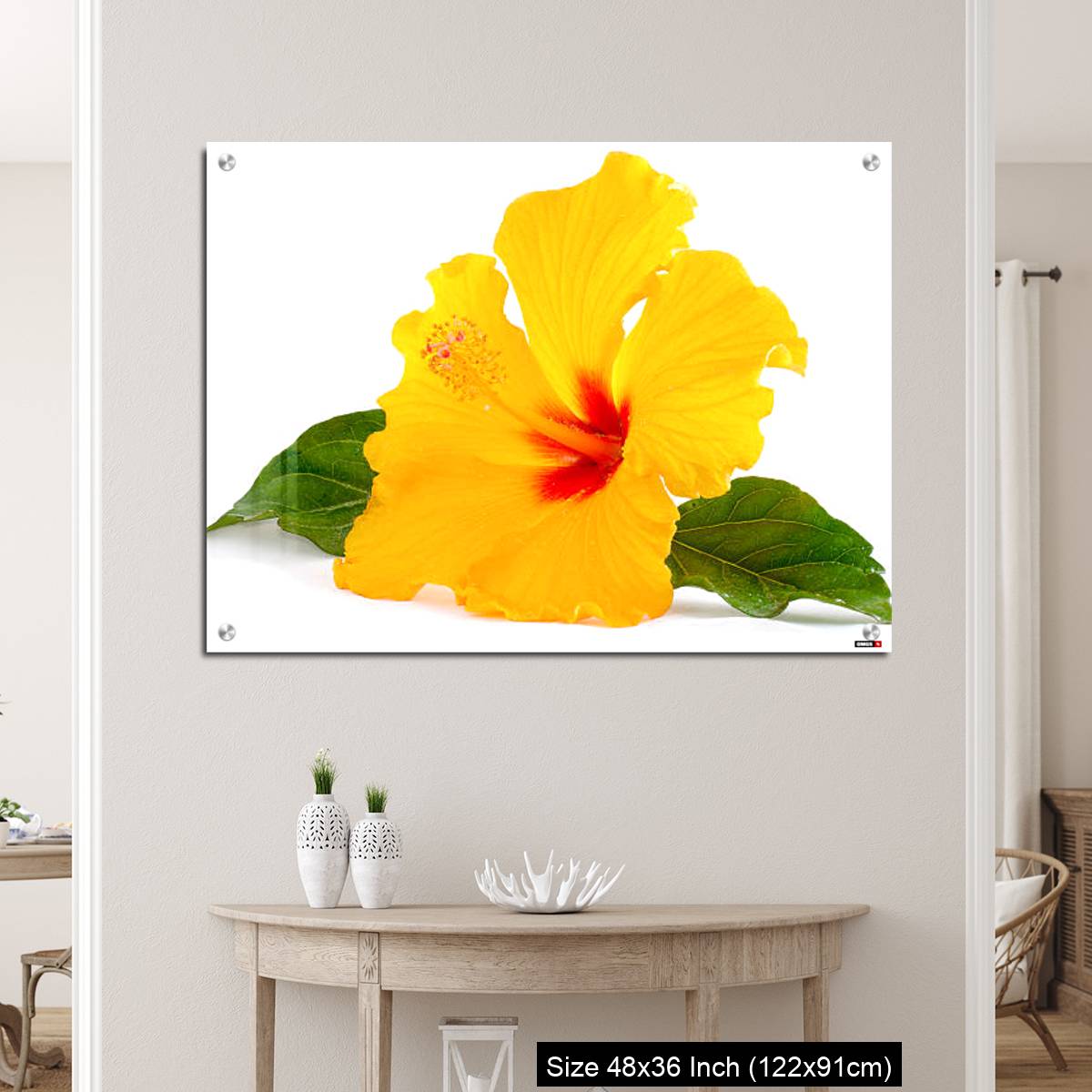 OMGs Acrylic Wall Decor – Tropical Yellow Hibiscus Flower isolated on white - Image 5