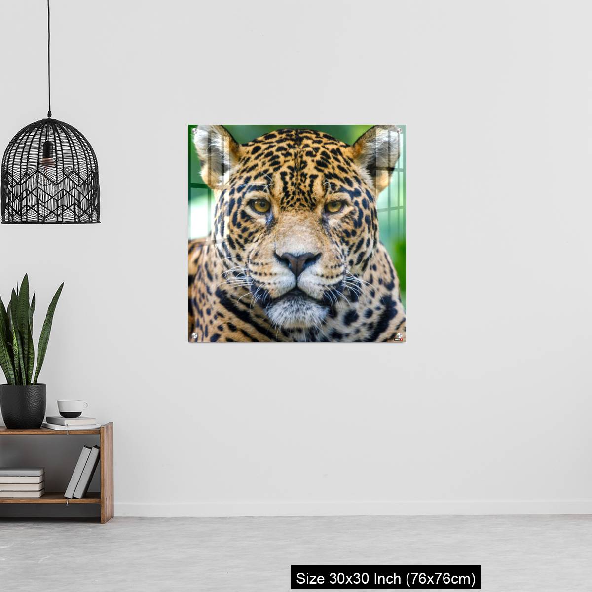 OMGs Acrylic Wall Decor – Jaguar looking at camera - Pantanal wetlands, Brazil - Image 6