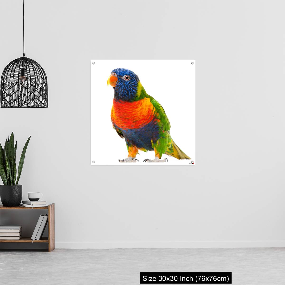 OMGs Acrylic Wall Decor – Rainbow Lorikeet, Trichoglossus haematodus - Image 6
