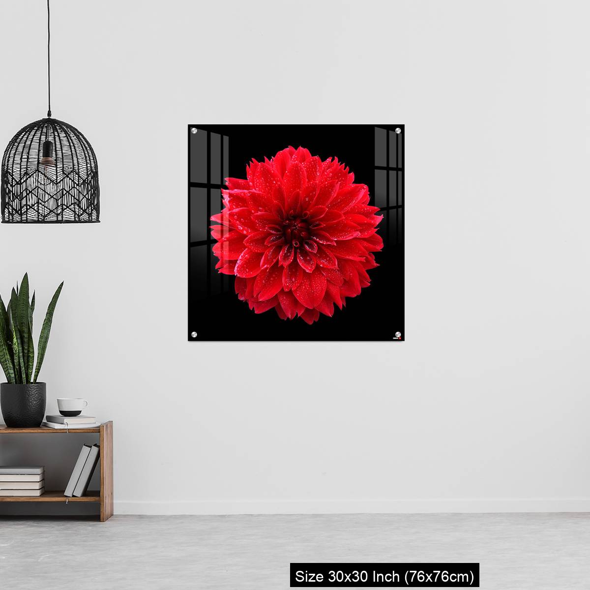 OMGs Acrylic Wall Decor – Red dahlia,like a ball of fire,on black background - Image 6
