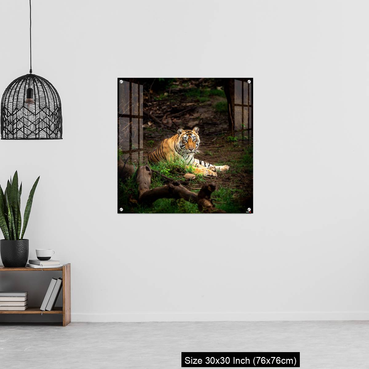 OMGs Acrylic Wall Decor – wild bengal male tiger - Image 6