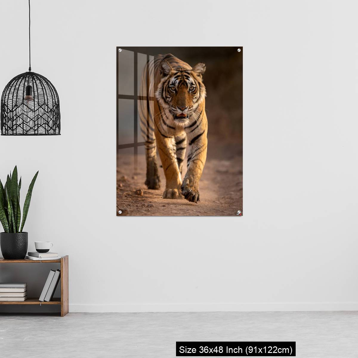 OMGs Acrylic Wall Decor – A young tigress walks - Image 6