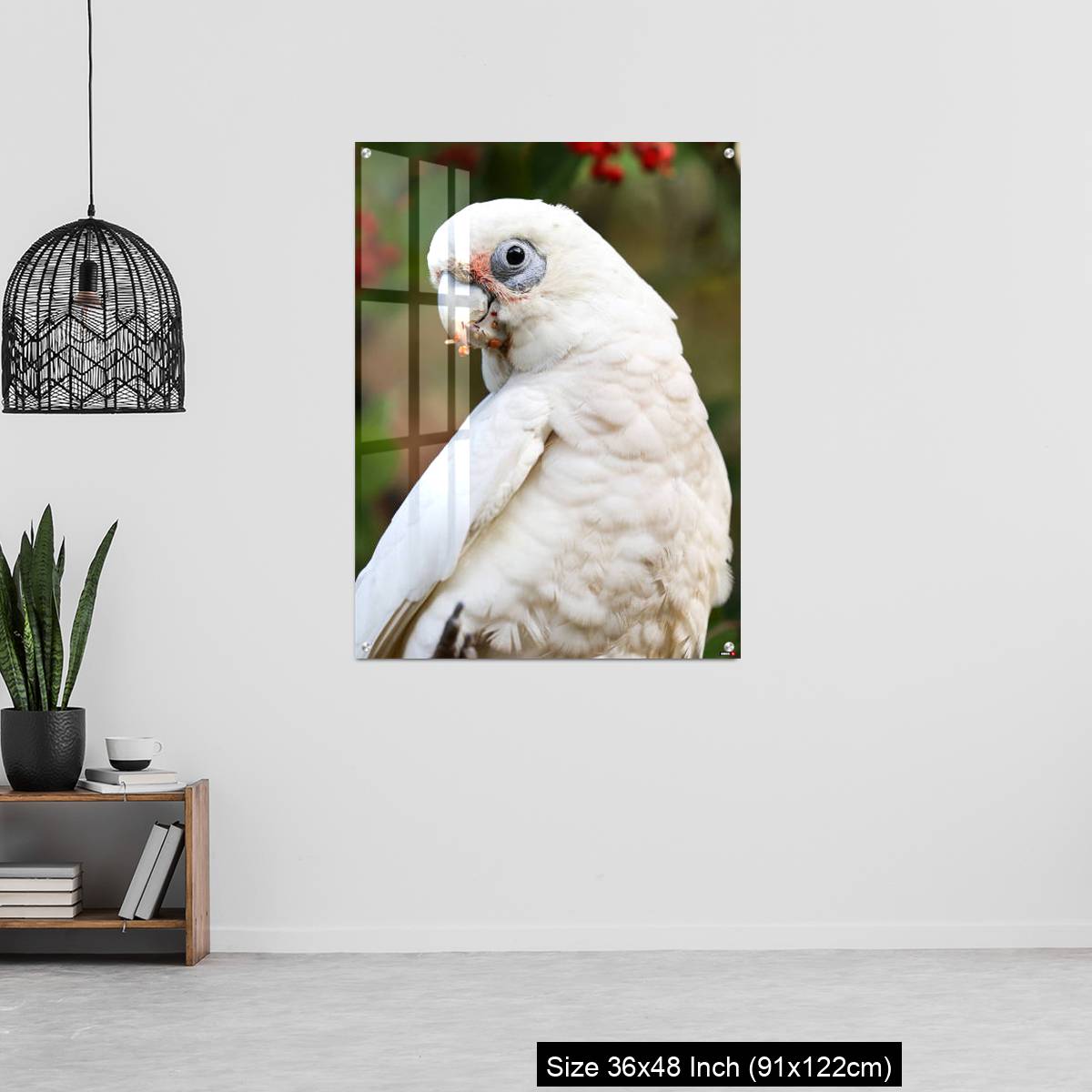 OMGs Acrylic Wall Decor – Close up of a Corella Feeding in a Tree - Image 6
