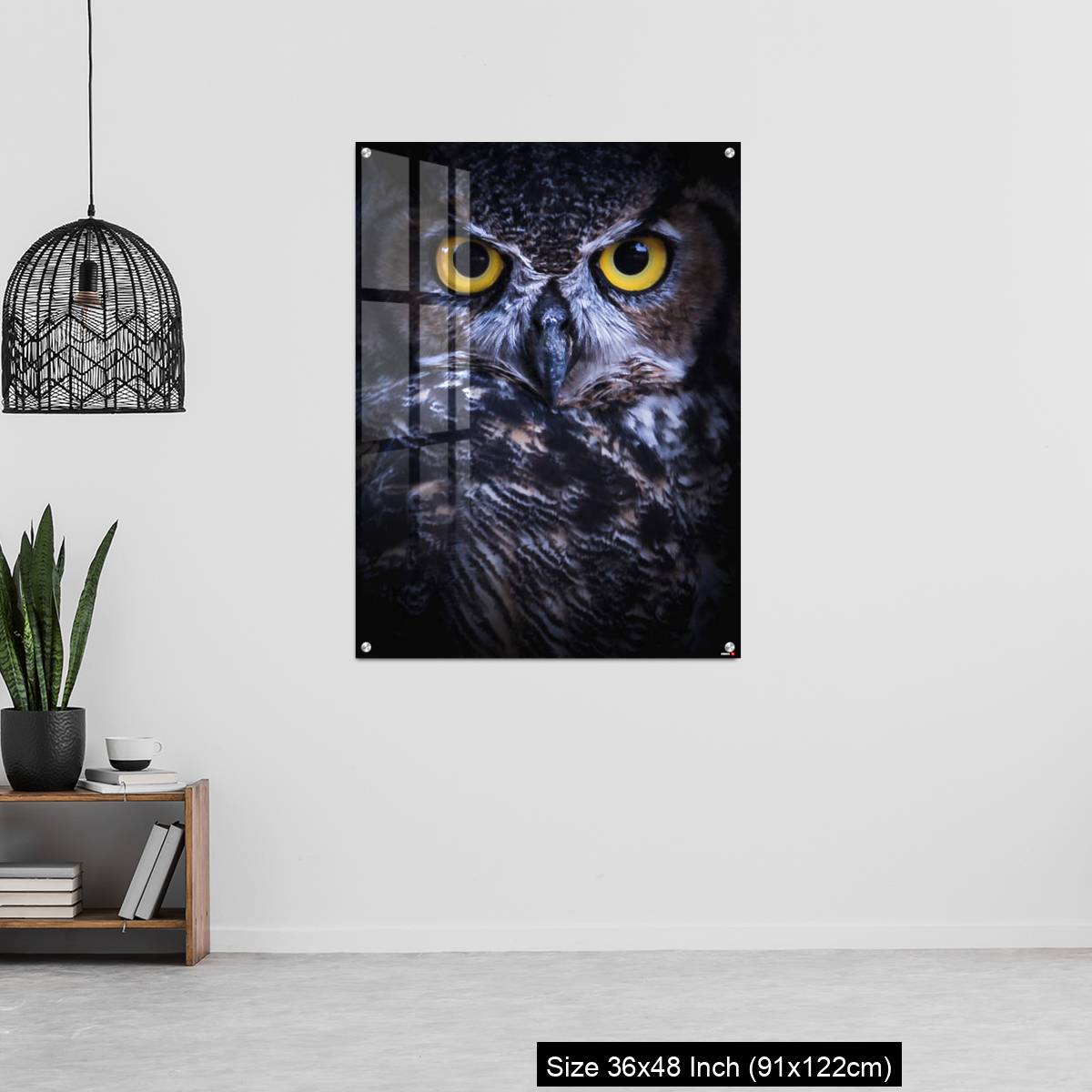 OMGs Acrylic Wall Decor – Intense Eye Contact from a Great-Horned Owl - Image 6