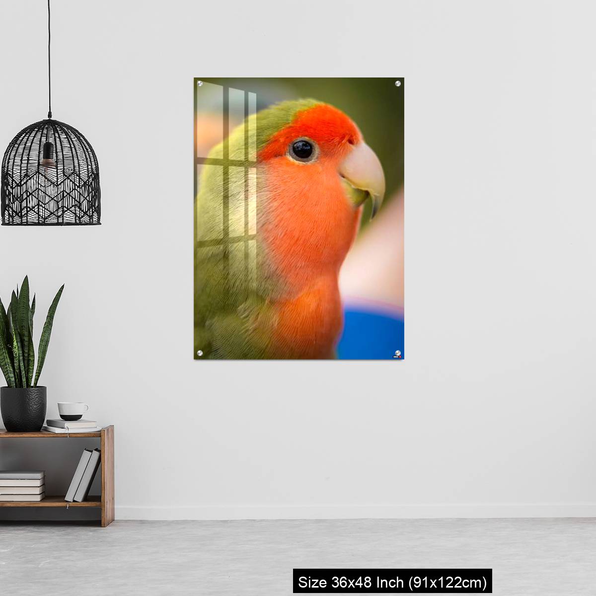 OMGs Acrylic Wall Decor – Vibrant rosy-faced lovebird - Image 6