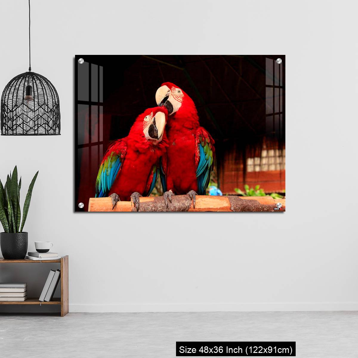 OMGs Acrylic Wall Decor – A  Macaw Bird Teasing His Friend’s Head - Image 6