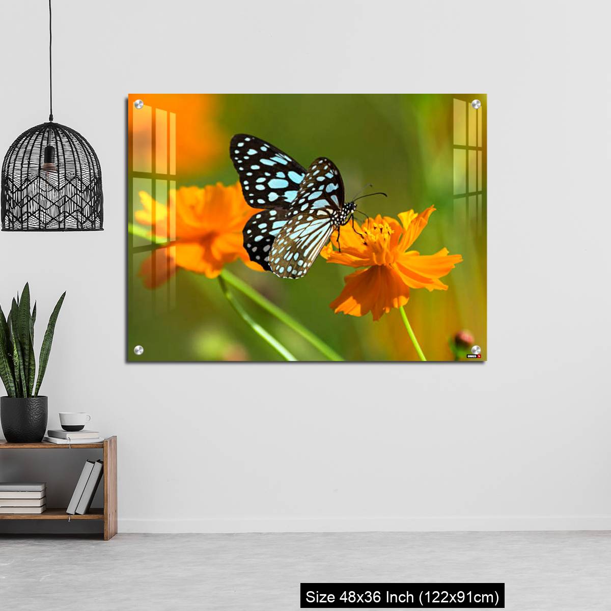 OMGs Acrylic Wall Decor – Blue tiger butterfly or Tirumala limniace on an orange flower - Image 6