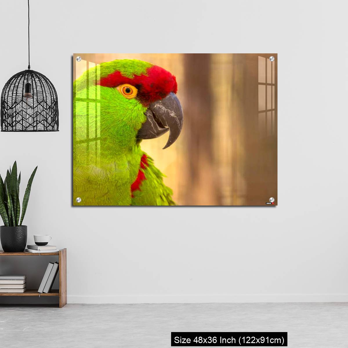 OMGs Acrylic Wall Decor – Close-up portrait of a thick billed parrot - Image 6