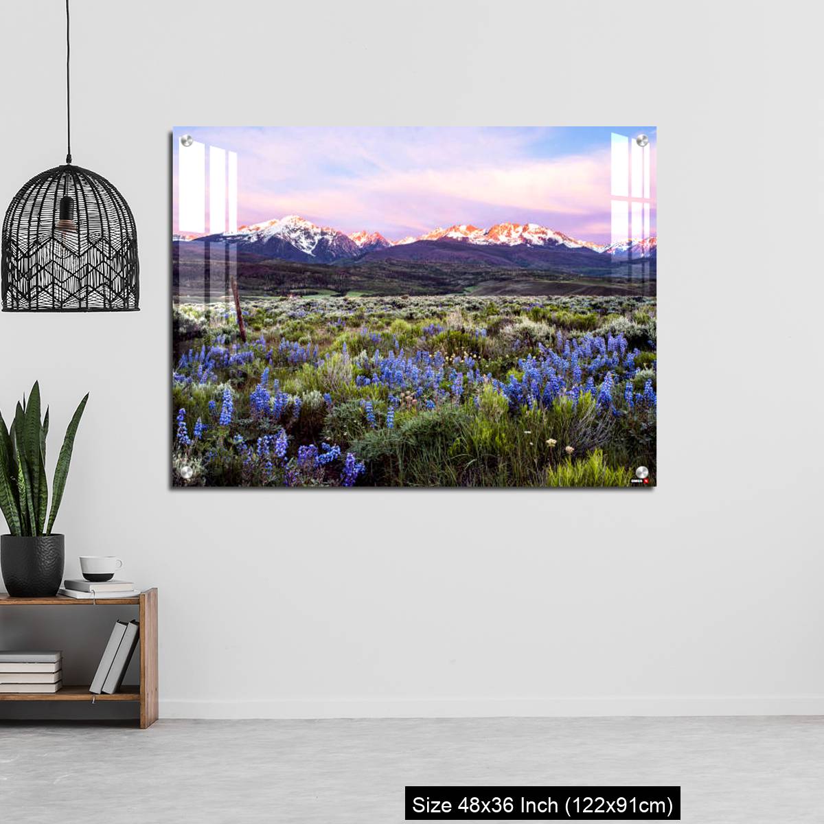 OMGs Acrylic Wall Decor – Colorado wildflowers and the gore range - Image 6