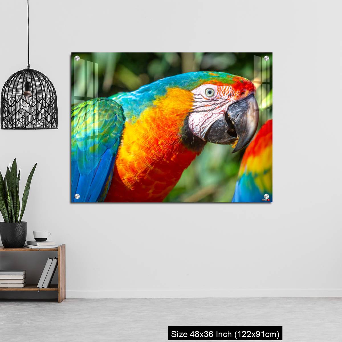 OMGs Acrylic Wall Decor – Colorful Macaw parrot looking at camera in Brazil - Image 6
