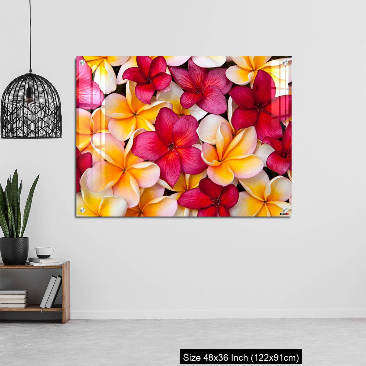 OMGs Acrylic Wall Decor – Colorful Pulmeria (or Frangipani) flowers - Image 6