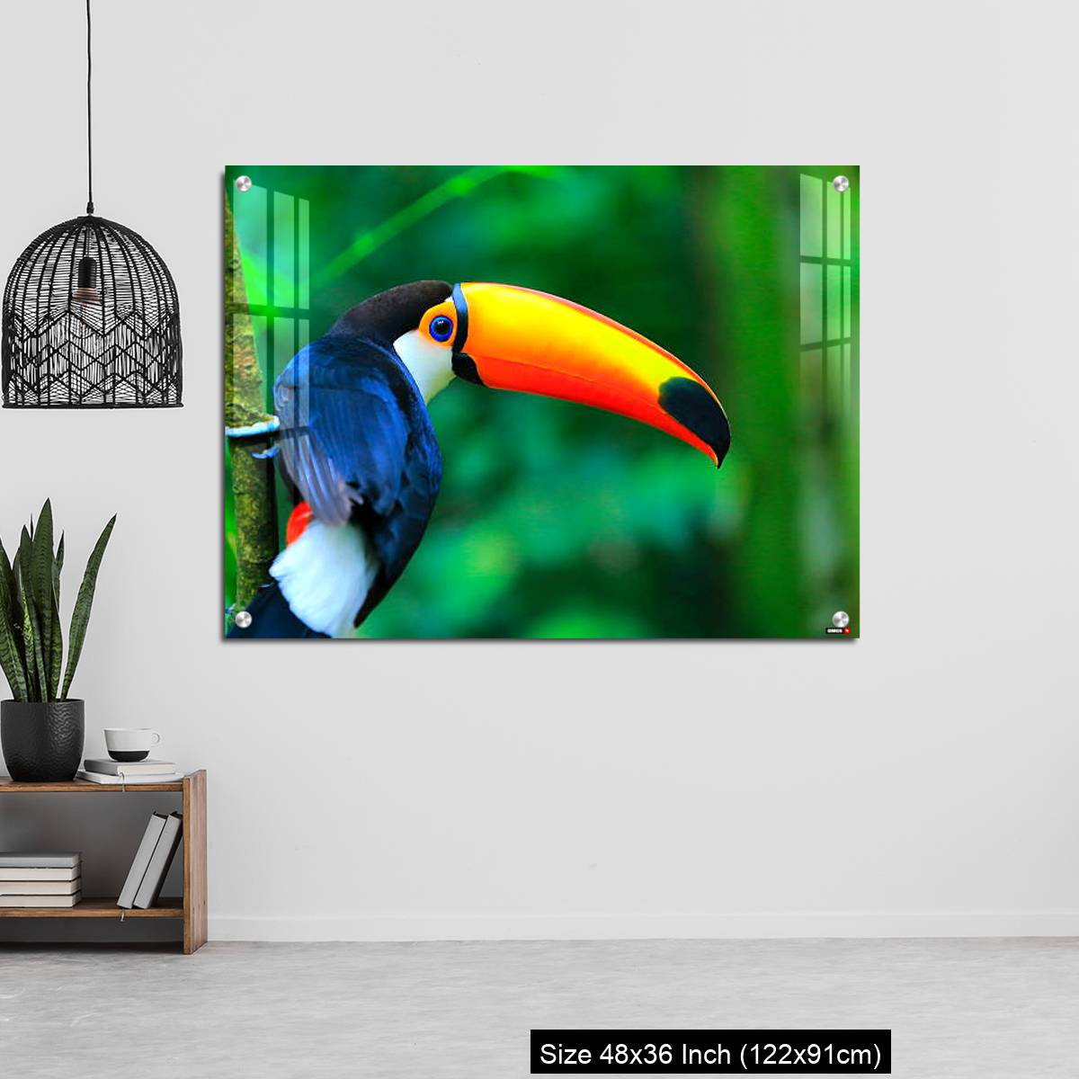OMGs Acrylic Wall Decor – Colorful cute Toucan tropical bird - Image 6