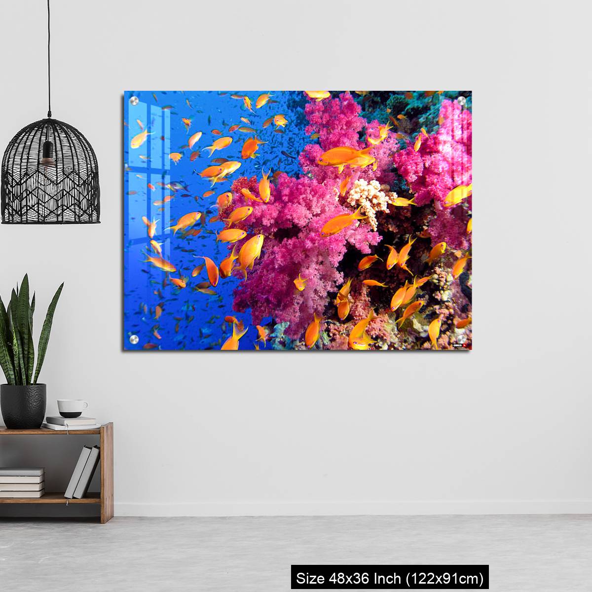 OMGs Acrylic Wall Decor – Colorful underwater picture of a coral reef, with goldfish - Image 6