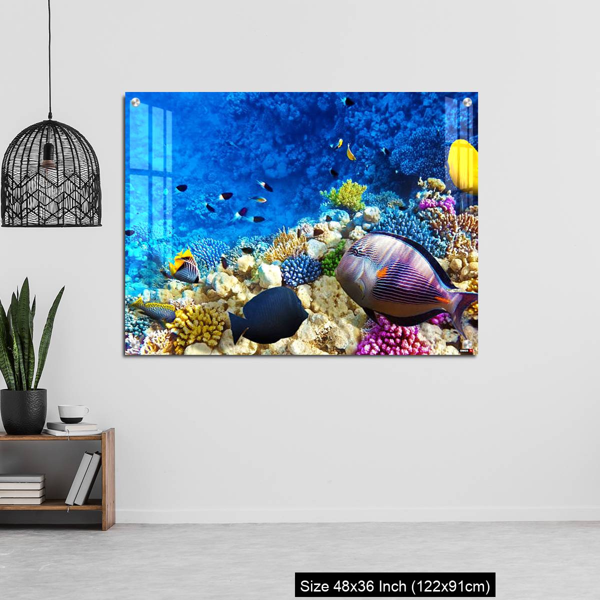 OMGs Acrylic Wall Decor – Coral and fish in the Red Sea. Egypt, Africa. - Image 6