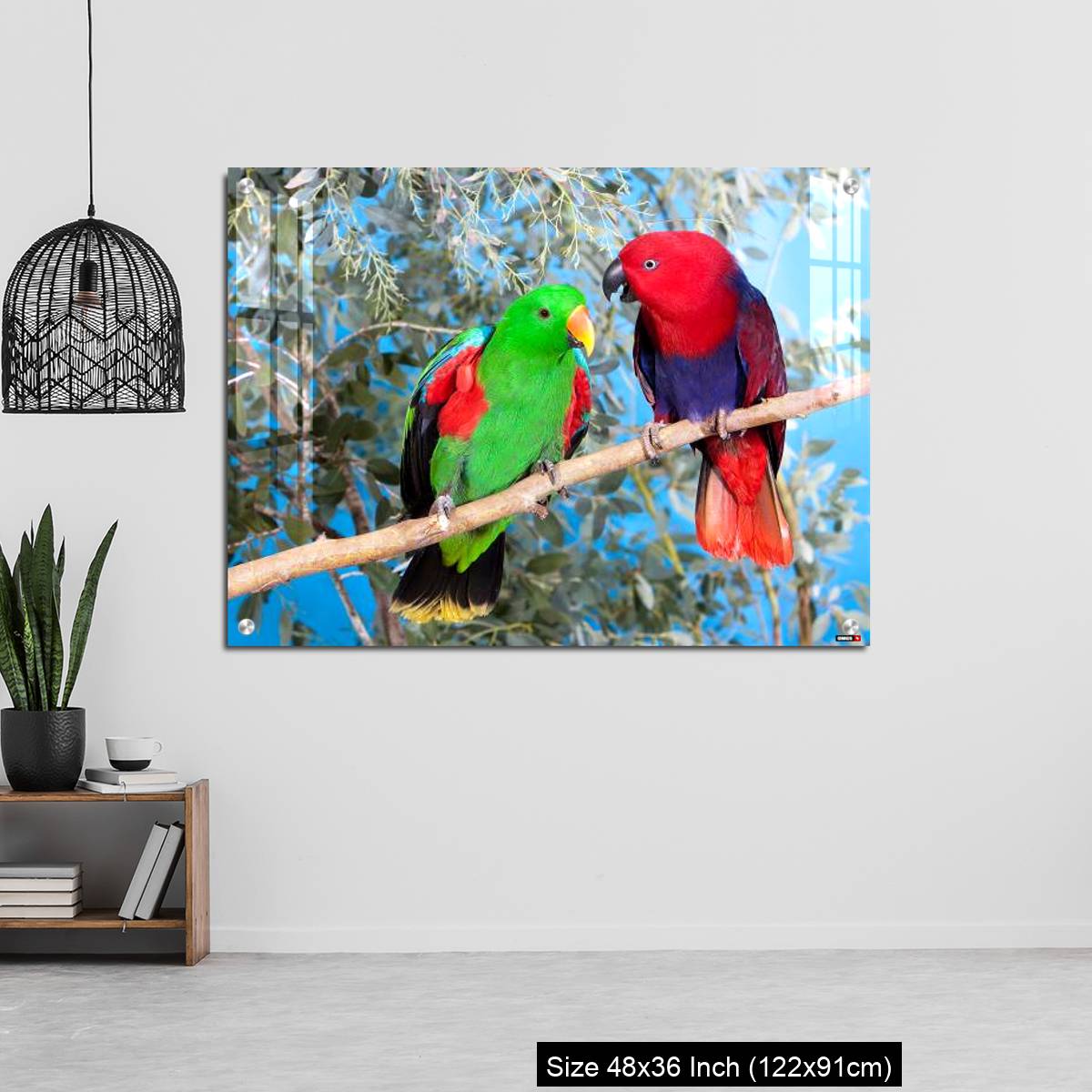 OMGs Acrylic Wall Decor – Eclectus Parrot, eclectus roratus, Pair standing on Branch, Male (green) and Female (Red) - Image 6