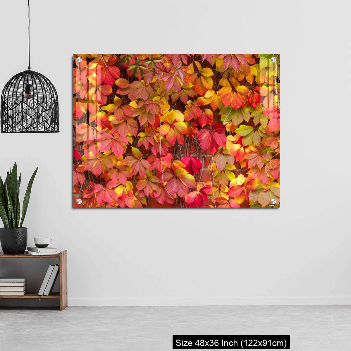 OMGs Acrylic Wall Decor – False Virginia creeper Parthenocissus inserta foliage in autumn colors - Image 6