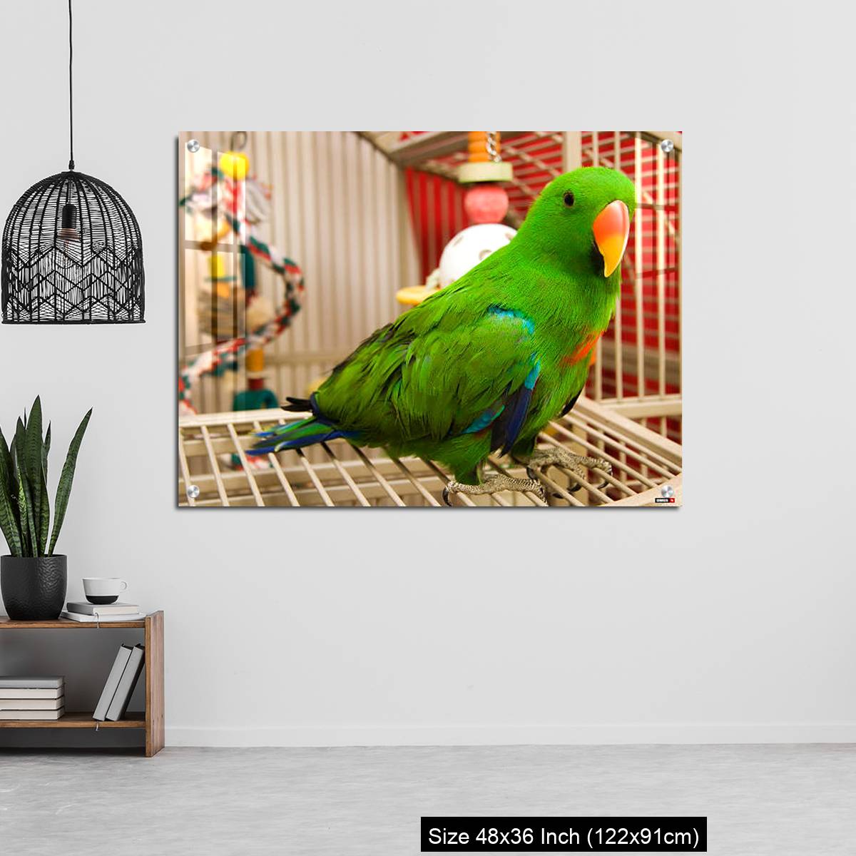 OMGs Acrylic Wall Decor – Green parrot perched on the open door of its cage - Image 6