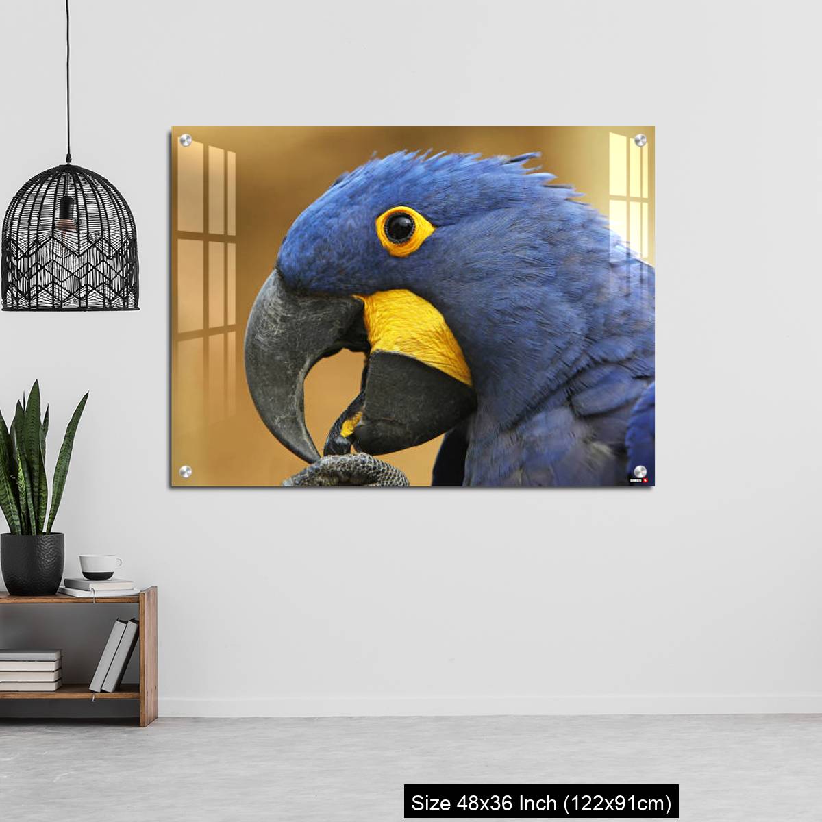 OMGs Acrylic Wall Decor – Hyacinth Macaw, anodorhynchus hyacinthinus, portrait of Adult with open Beak - Image 6