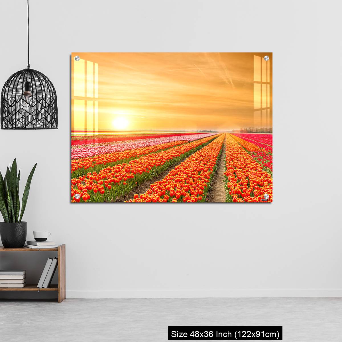 OMGs Acrylic Wall Decor – Landscape of Netherlands tulips with sunlight in Netherlands. - Image 6