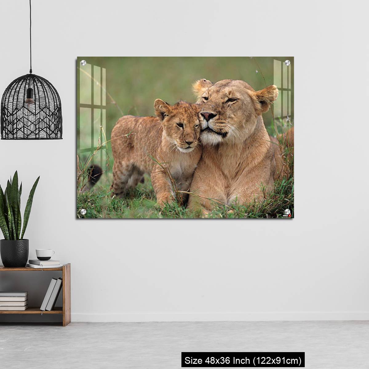 OMGs Acrylic Wall Decor – Lioness (Panthera leo) with cubs lying on grass, Kenya - Image 6