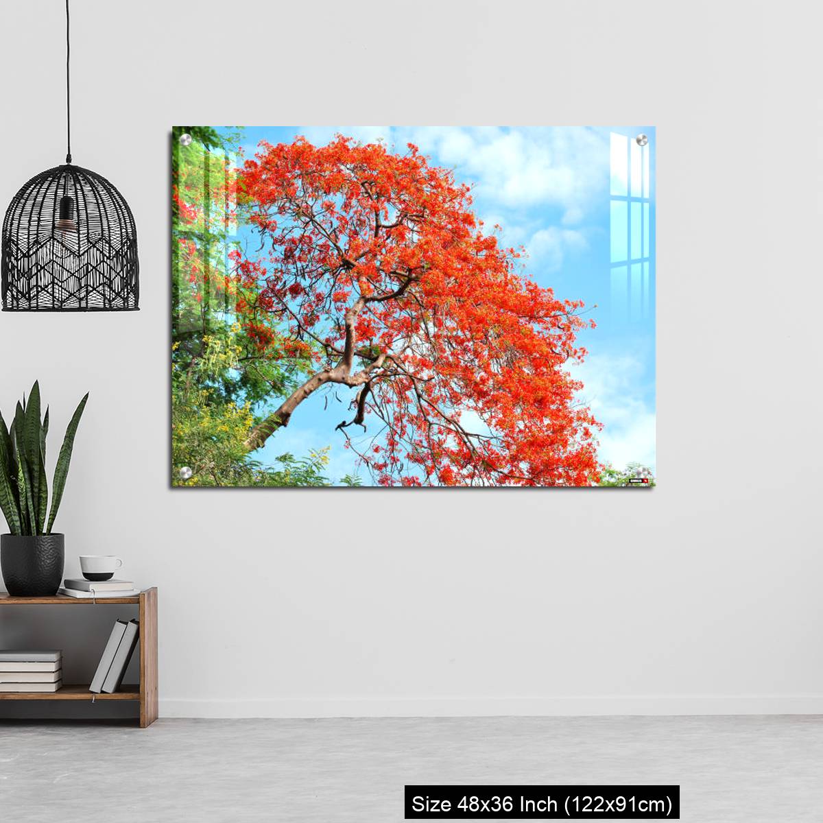 OMGs Acrylic Wall Decor – Gul Mohar tree in full bloom against a bright blue tropical sky in Mumbai, India. - Image 6
