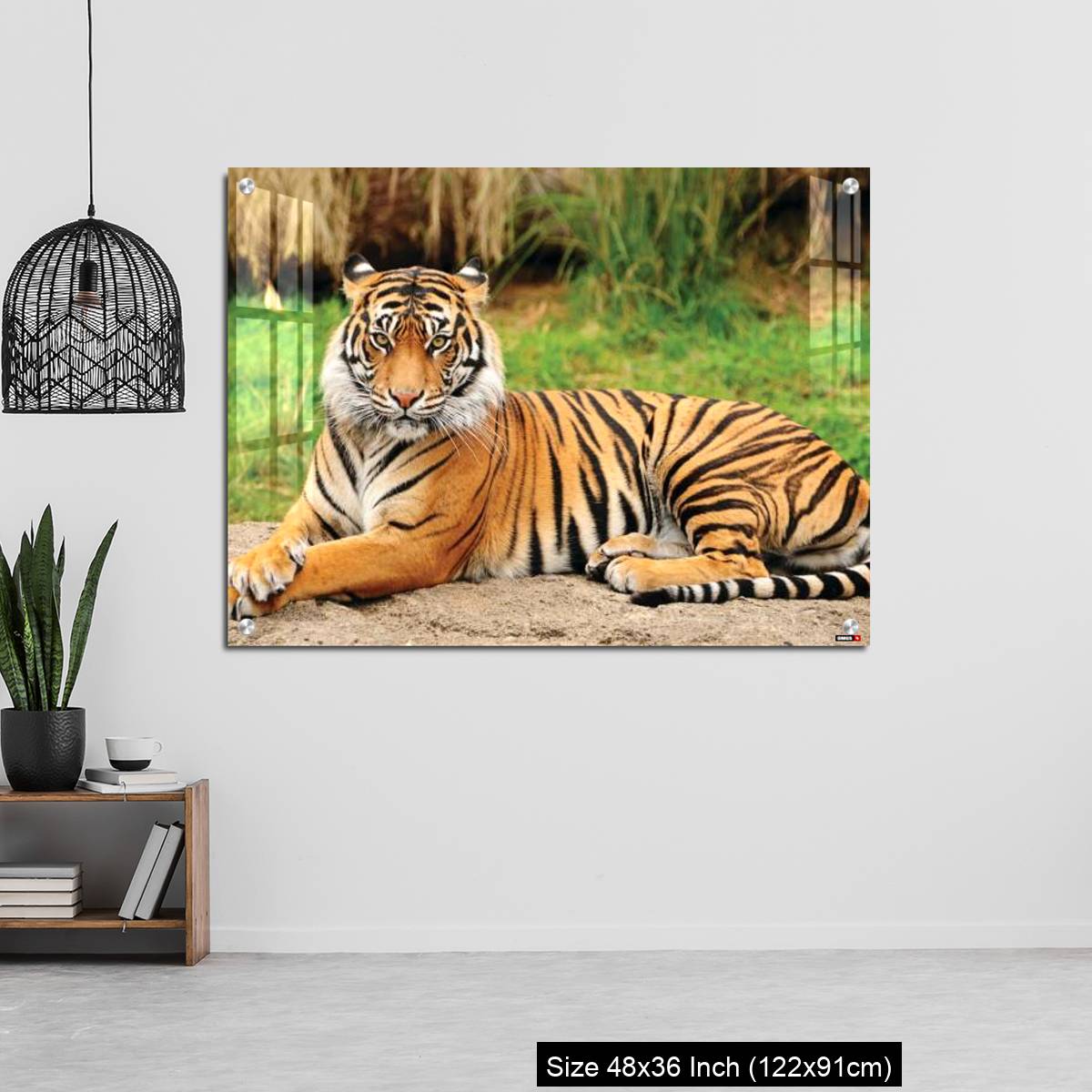 OMGs Acrylic Wall Decor – Royal Bengal Tiger alert and Staring at the Camera - Image 6