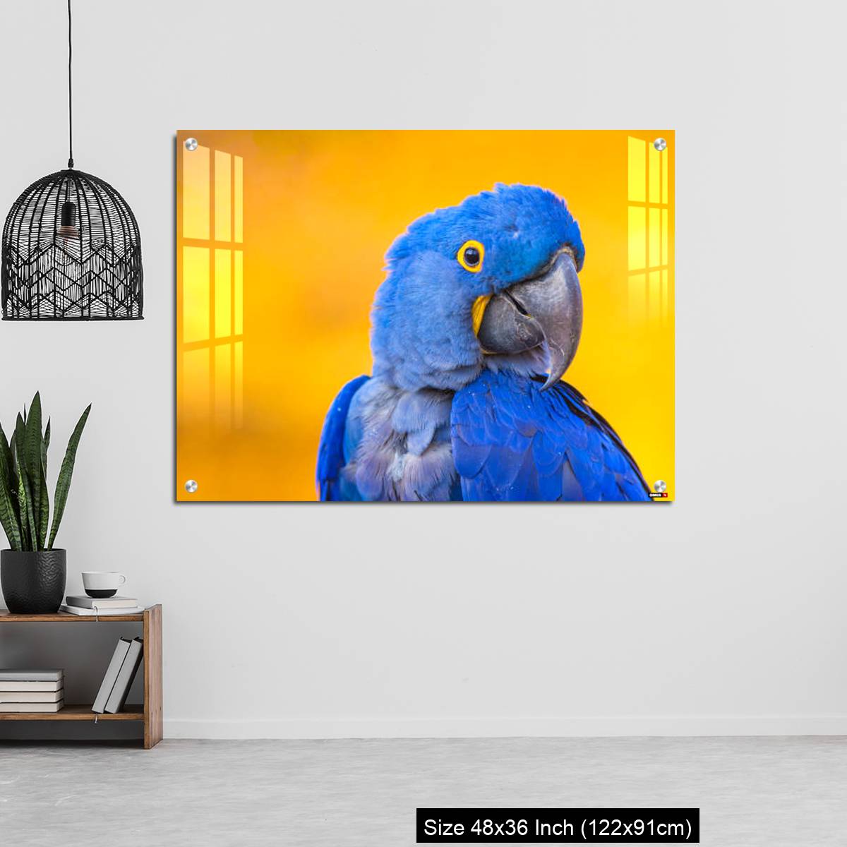 OMGs Acrylic Wall Decor – Portrait of big blue parrot Hyacinth Macaw - Image 6