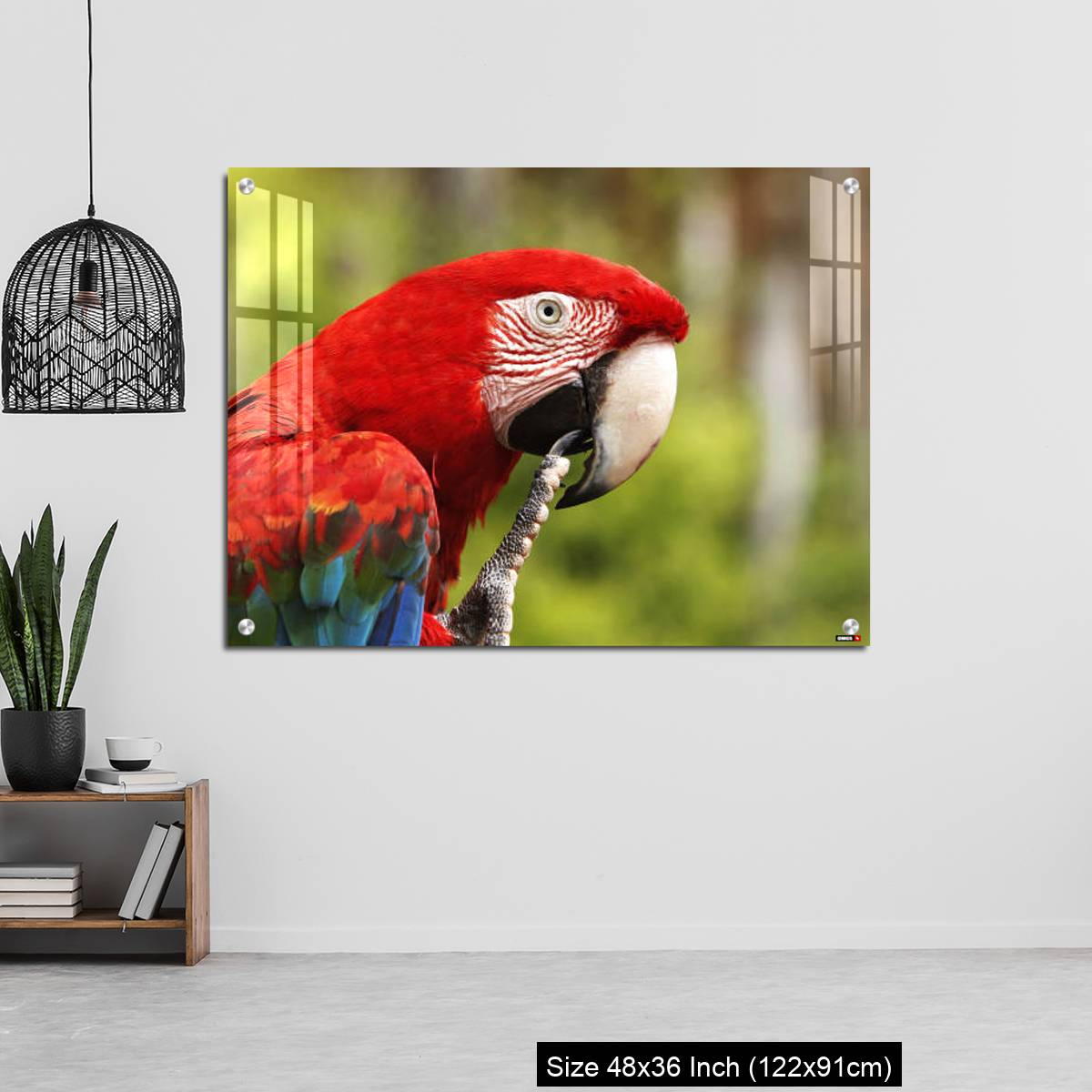 OMGs Acrylic Wall Decor – Red-and-Green Macaw, ara chloroptera, Portrait of Adult - Image 6