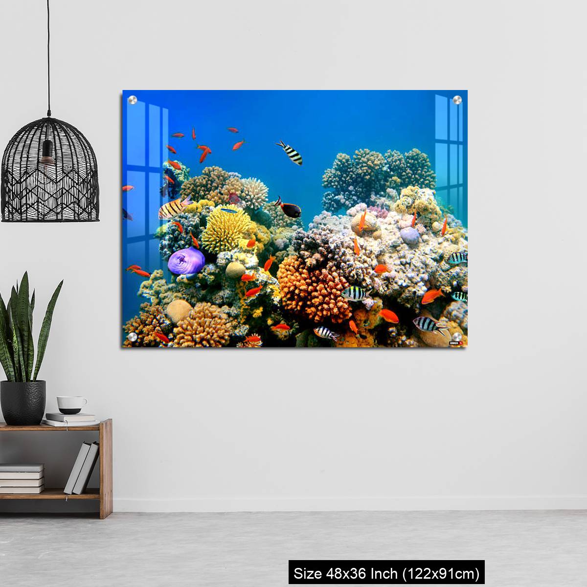 OMGs Acrylic Wall Decor – Tropical Fish on a coral reef - Image 6