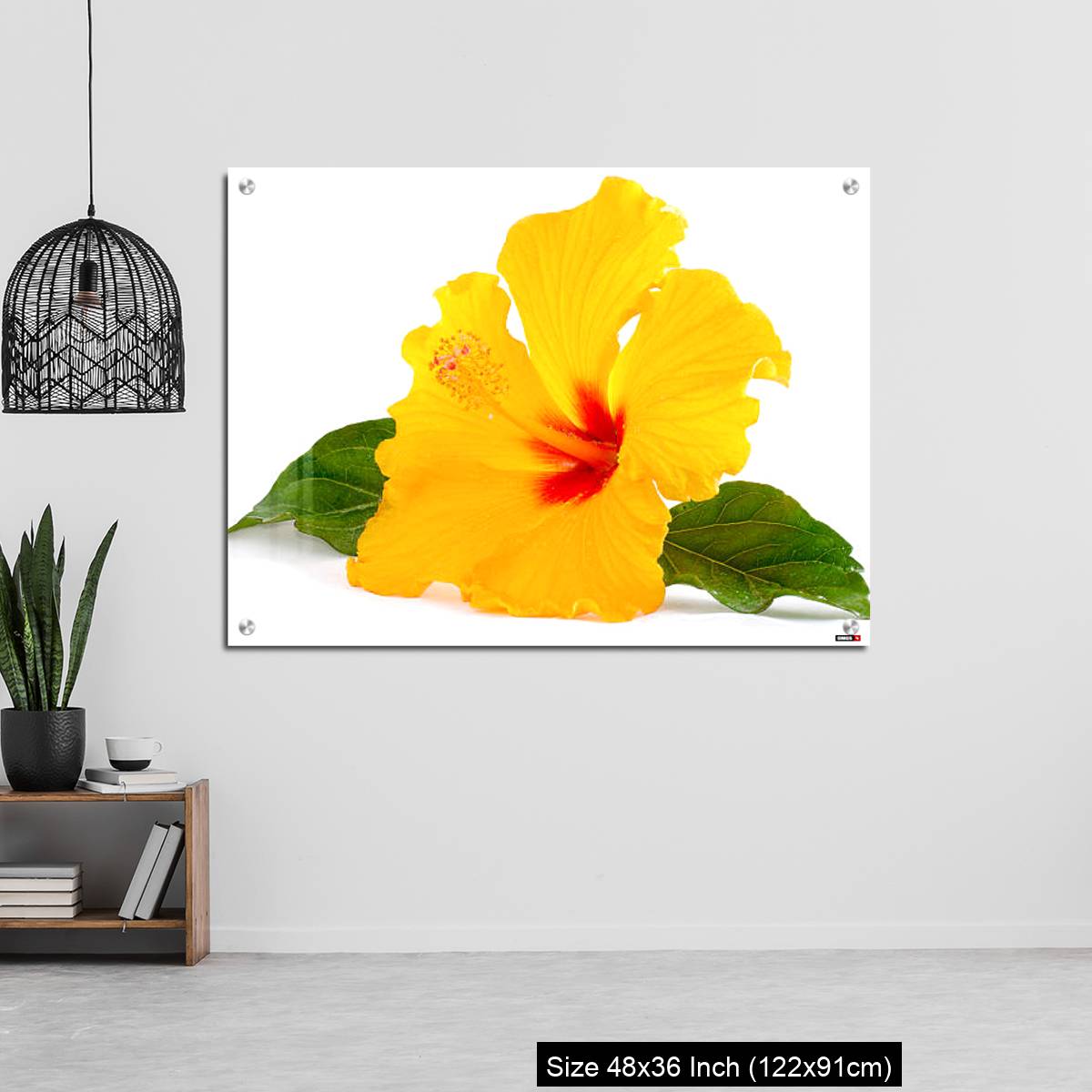 OMGs Acrylic Wall Decor – Tropical Yellow Hibiscus Flower isolated on white - Image 6