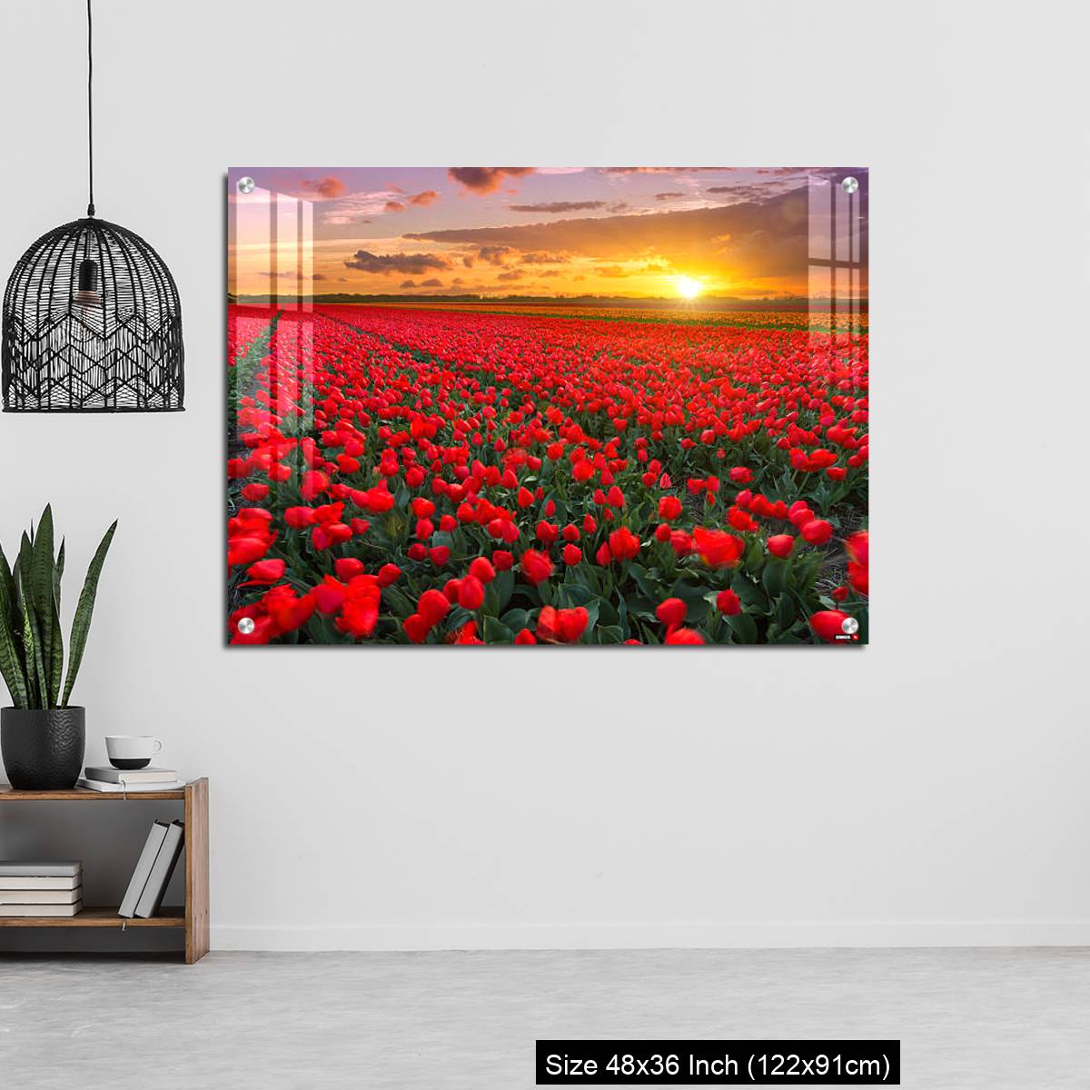 OMGs Acrylic Wall Decor – Tulip fields at sunset in the Netherlands - Image 6