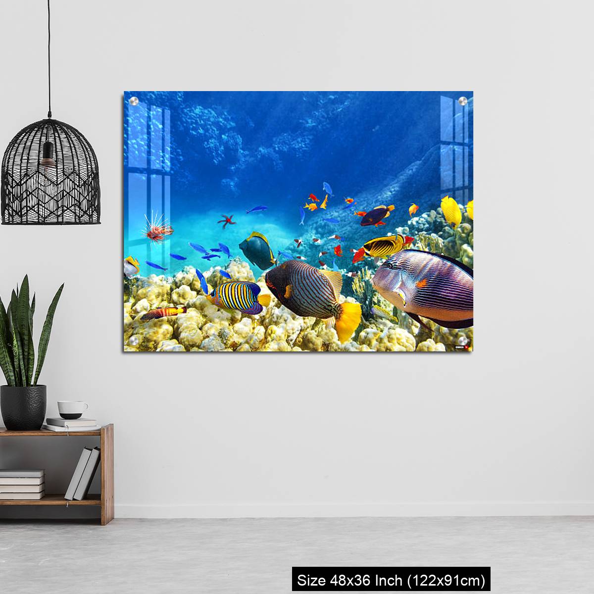 OMGs Acrylic Wall Decor – Underwater world with corals and tropical fish. - Image 6